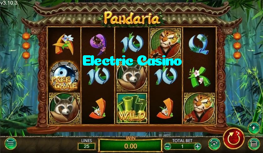 Electric Casino